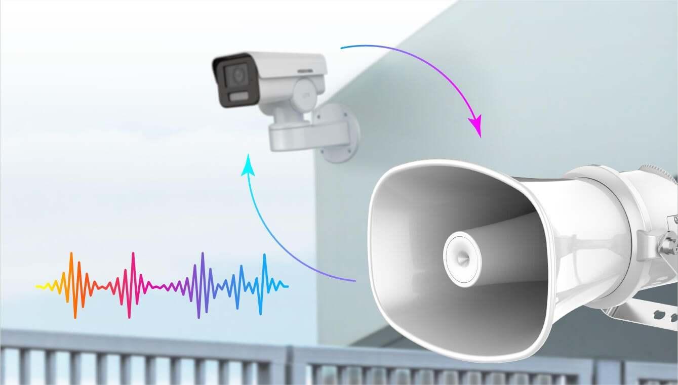 network speaker
