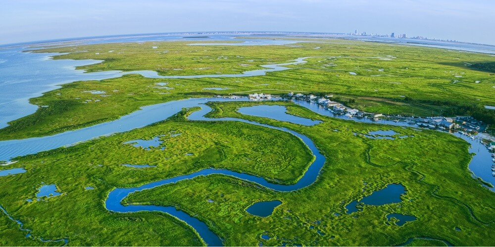 Powering Visual Wonders with Green Innovation