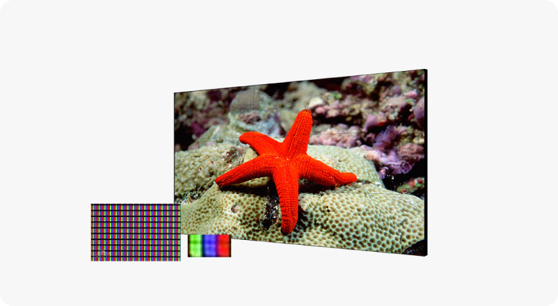 Calibración del color precisa